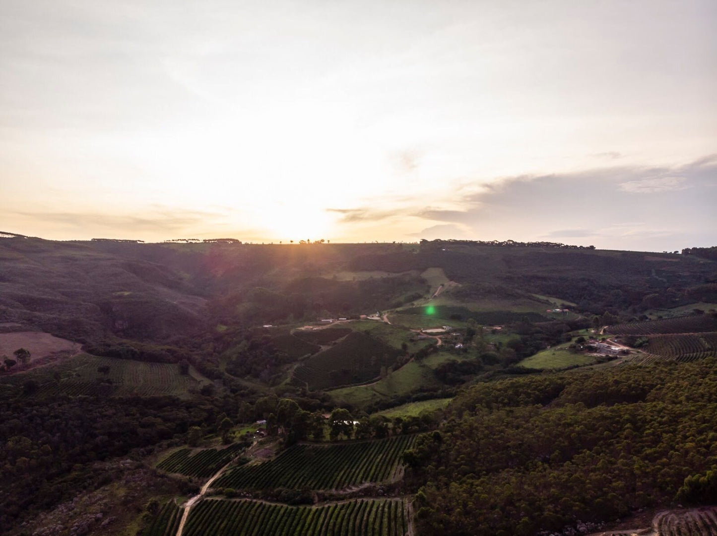 Brazil Minas Gerais Luzia