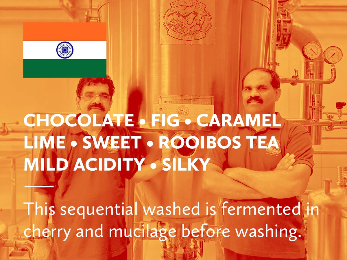 India Ratnagiri Estate Giri Patte Catuai Sequential Washed